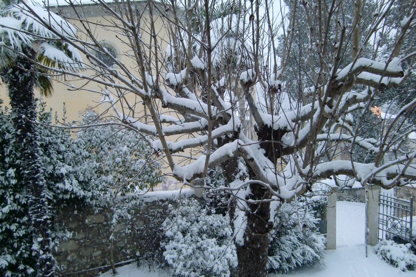 nevicata a molino del piano, pontassieve, san francesco, il  17 dicembre 2010