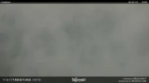 webcam  Cavalese (TN, 1000 m), webcam provincia di Trento
