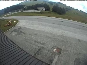 webcam  San Valentino (TN, 1280 m), webcam provincia di Trento