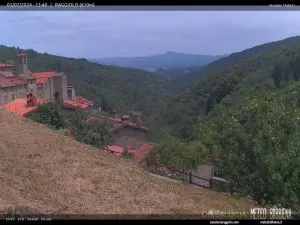 webcam  Raggiolo (AR, 610 m), webcam provincia di Arezzo
